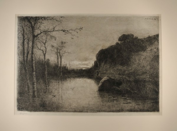 Pool with Trees - Image 2