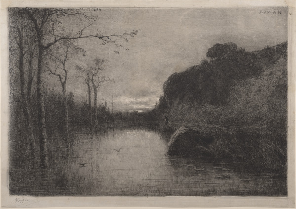 Pool with Trees - Image 3