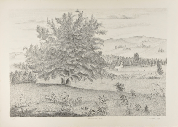 Summer Day - Image 2