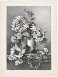 Still Life with Shells