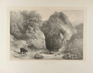 L’Ours des montagnes d’Oliferne