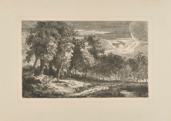 MOONLIGHT LANDSCAPE WITH TREES ALONG A ROAD