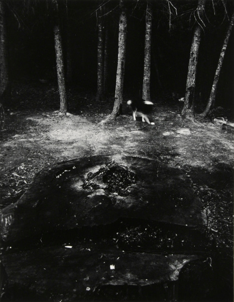 Time Leaves Nothing Hanging - Image 3