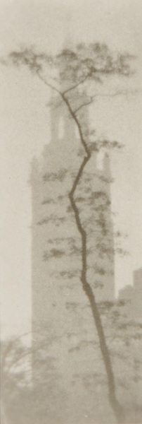 Misty Day on Fifth Avenue - Image 4