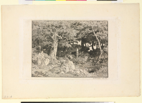 The Oak Forest of the Rock - Image 1