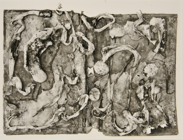 The Medical History of the War of Rebellion - Image 6