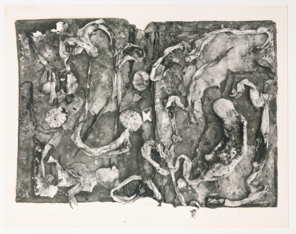 The Medical History of the War of Rebellion - Image 9