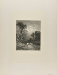 Cattle Fording a Stream