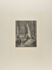 Trout Brook, Vermont