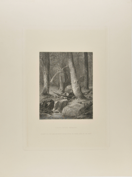 Trout Brook, Vermont