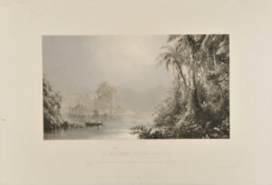 A Morning in the Tropics