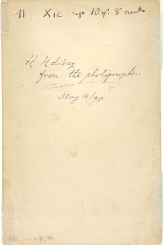 A Summer Night - Image 5