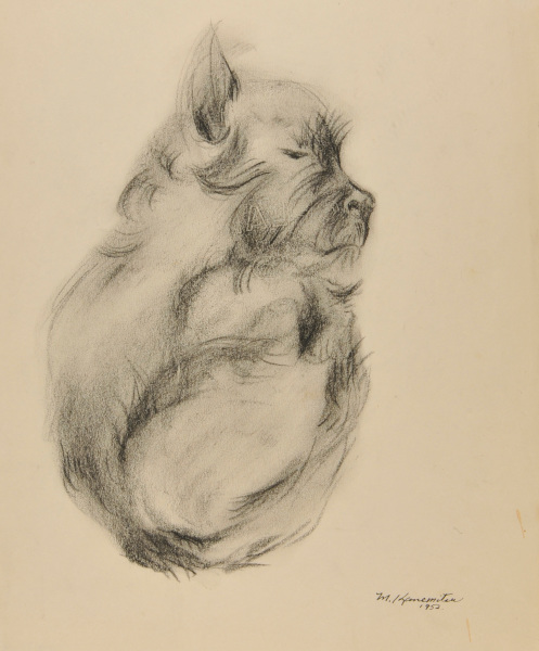 Curled Up Dog - Image 2