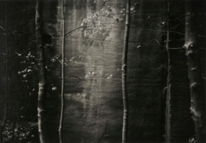 Ceremonial Veil Nesscliffe, Shropshire, England