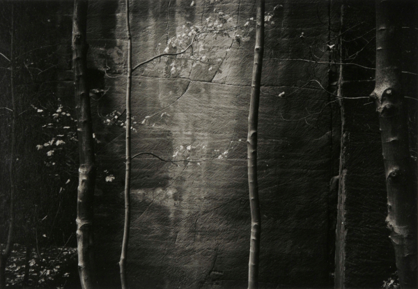 Ceremonial Veil Nesscliffe, Shropshire, England - Image 4