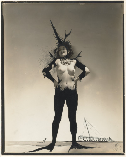 Study for “Dream of Venus” - Image 4