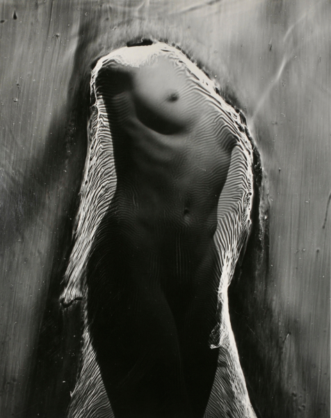 Marchesa Luisa Casati - Image 6