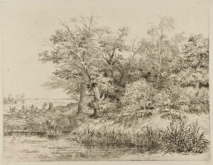 La Danse sous les Arbres