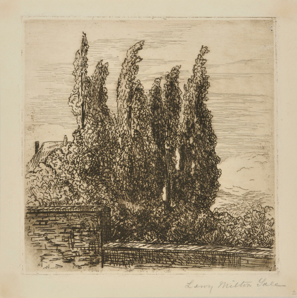 POPLARS BEHIND A STONE WALL