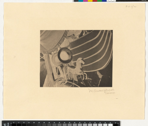 Little Horse on the Ice Cream Cart - Image 3