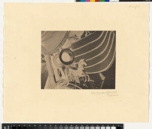 Little Horse on the Ice Cream Cart