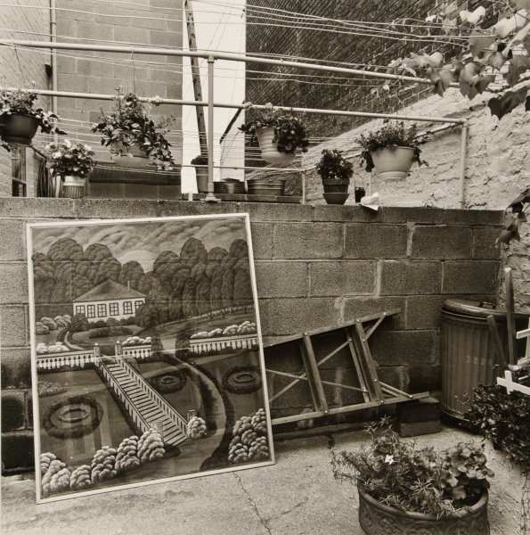 Stella’s Screen - Image 2