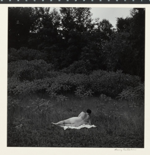 Port Huron - Image 4