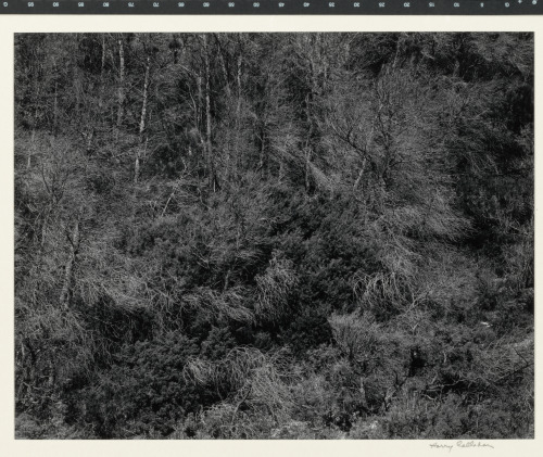 Aix en Provence - Image 3