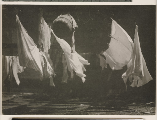 Moving Sculpture - Image 3