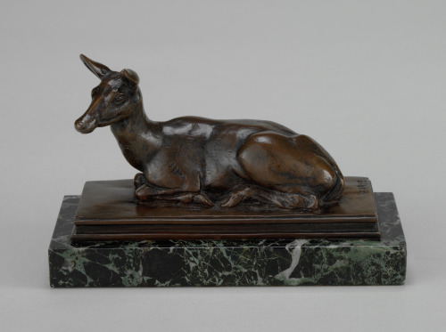 Resting Doe - Image 2