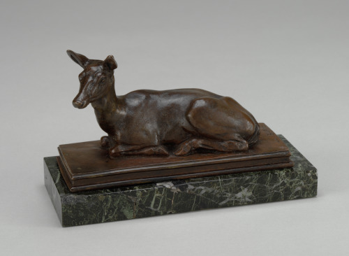 Resting Doe - Image 1