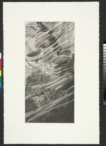 UNDERGROWTH (SOUS-BOIS)