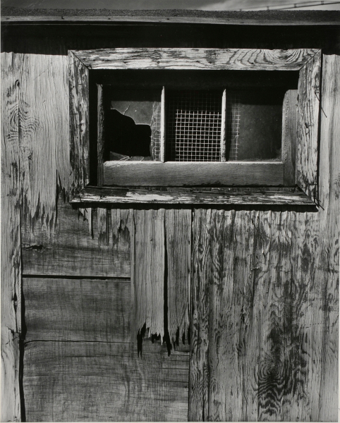 The Violated Window - Image 2