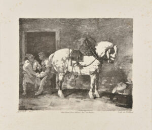 Cheval que l’on ferre