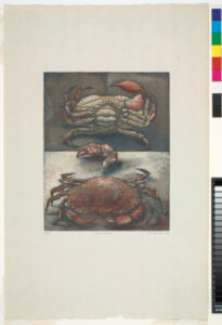 Study of a Crab
