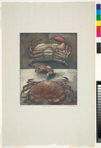 STUDY OF A CRAB