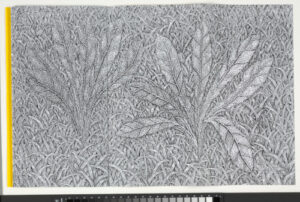 Templates for Limitless Fields of Grass