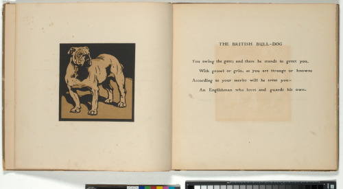 The Square Book of Animals - Image 13