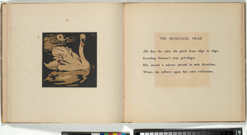 The Square Book of Animals - Image 12