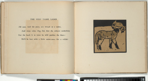The Square Book of Animals - Image 11
