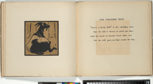 The Square Book of Animals - Image 10