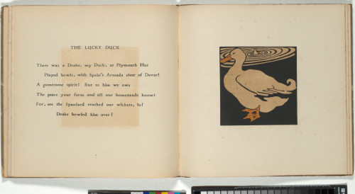 The Square Book of Animals - Image 9