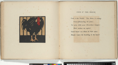 The Square Book of Animals - Image 8