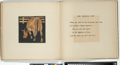 The Square Book of Animals - Image 6