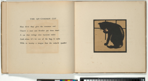 The Square Book of Animals - Image 4