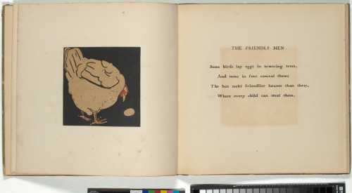 The Square Book of Animals - Image 3