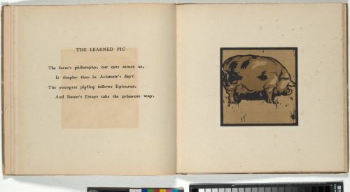 The Square Book of Animals - Image 2