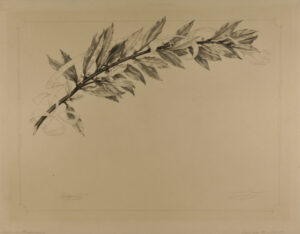 Diplôme de la Société des artistes français