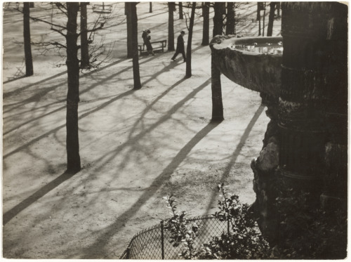 Jardin du Tuileries - Image 2