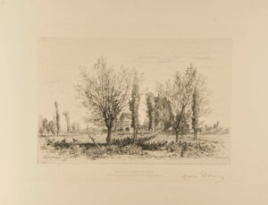 Dans les champs de Cénon